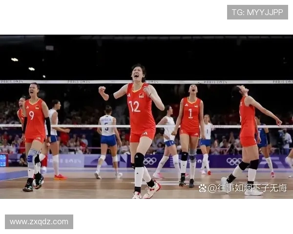 武汉排球队的节奏揭秘：深度解析排球运动的魅力与挑战