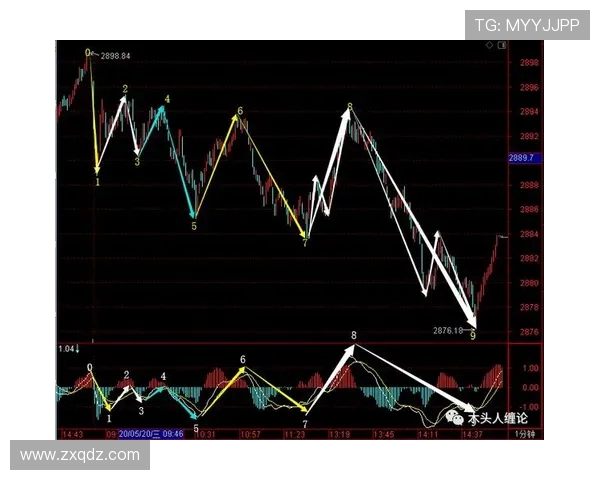 深圳排球队边路渗透战术深度解析与实战应用探讨